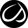 CRZ YOGA logo