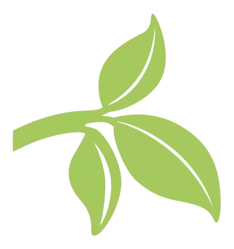 DesiMe logo