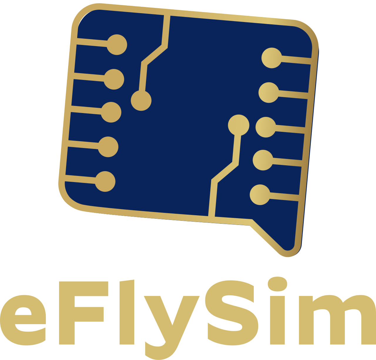 eFlySim logo