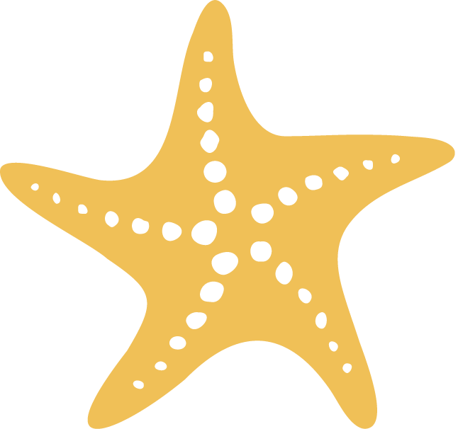 Jewelry & The Sea logo