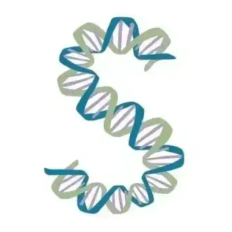 Kristin Moon Science logo