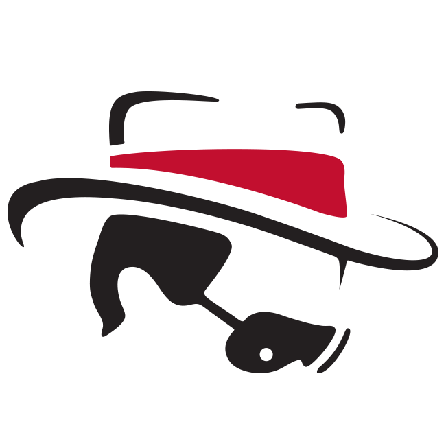 Leadbetterswingaids logo