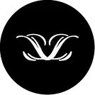 LiLash Beauty logo