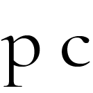 Paneros Clothing logo