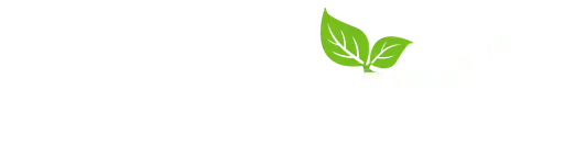 RainPoint logo