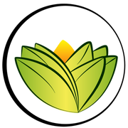 The Ayurveda Experience logo