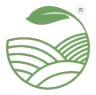 The Tea Shelf logo