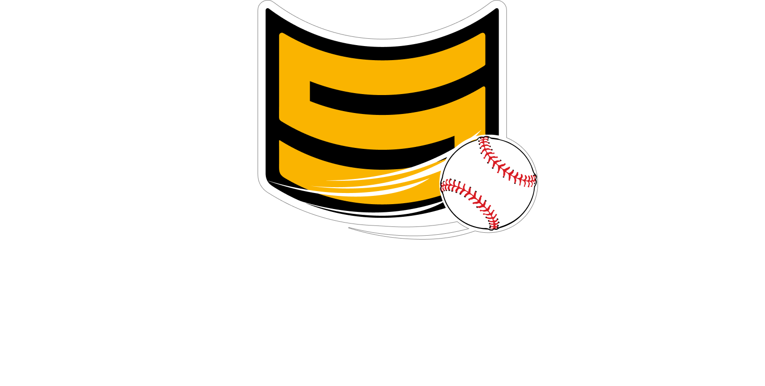 Thestackbaseball logo