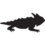 Toadandco logo