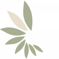 Vici Wellness logo