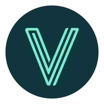 VidaVibe Volleyball logo