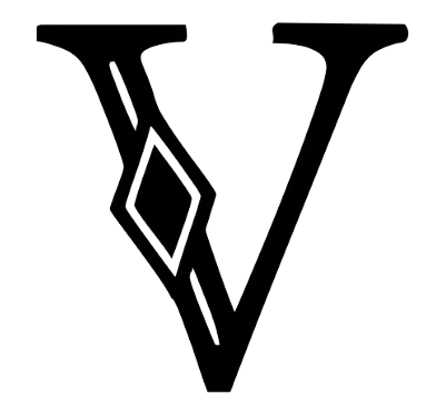 VIDESI logo