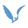 VINGUYS logo