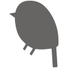 WildBird logo